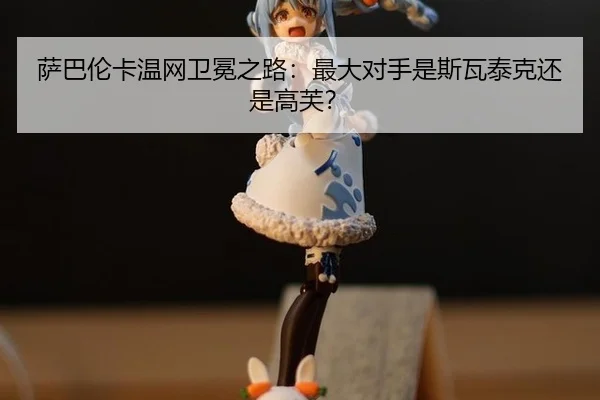 sa-ba-lun-ka-wen-wang-wei-mian-zhi-lu-zui-da-dui-shou-shi-si-wa-tai-ke-hai-shi-gao-fu-2-371.jpg